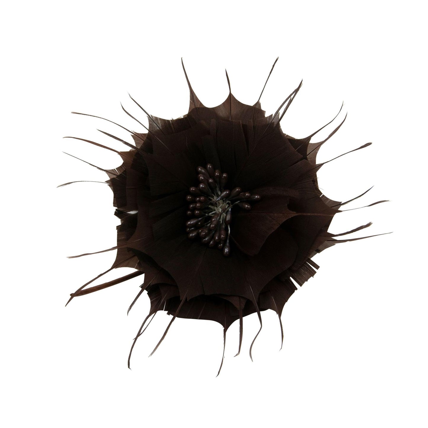 Goose Feather Star Flower 14cm - FM024