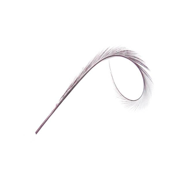 Burnt Pheasant Curled Feather - FE011