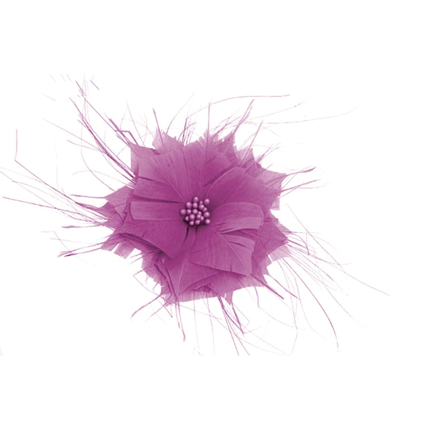 Goose Feather Star Flower 14cm - FM024