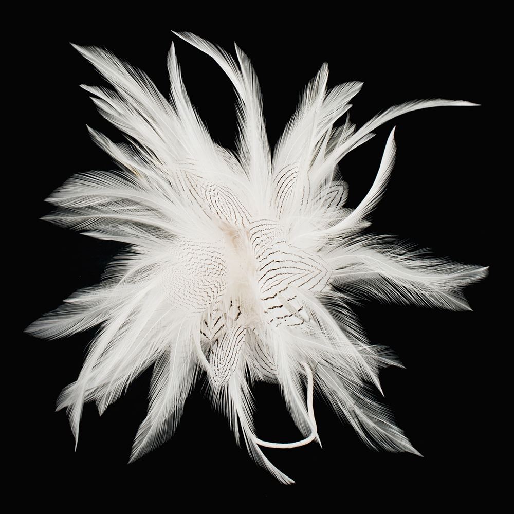 Ivory Pinstripe Hackle Feather Mount FM042