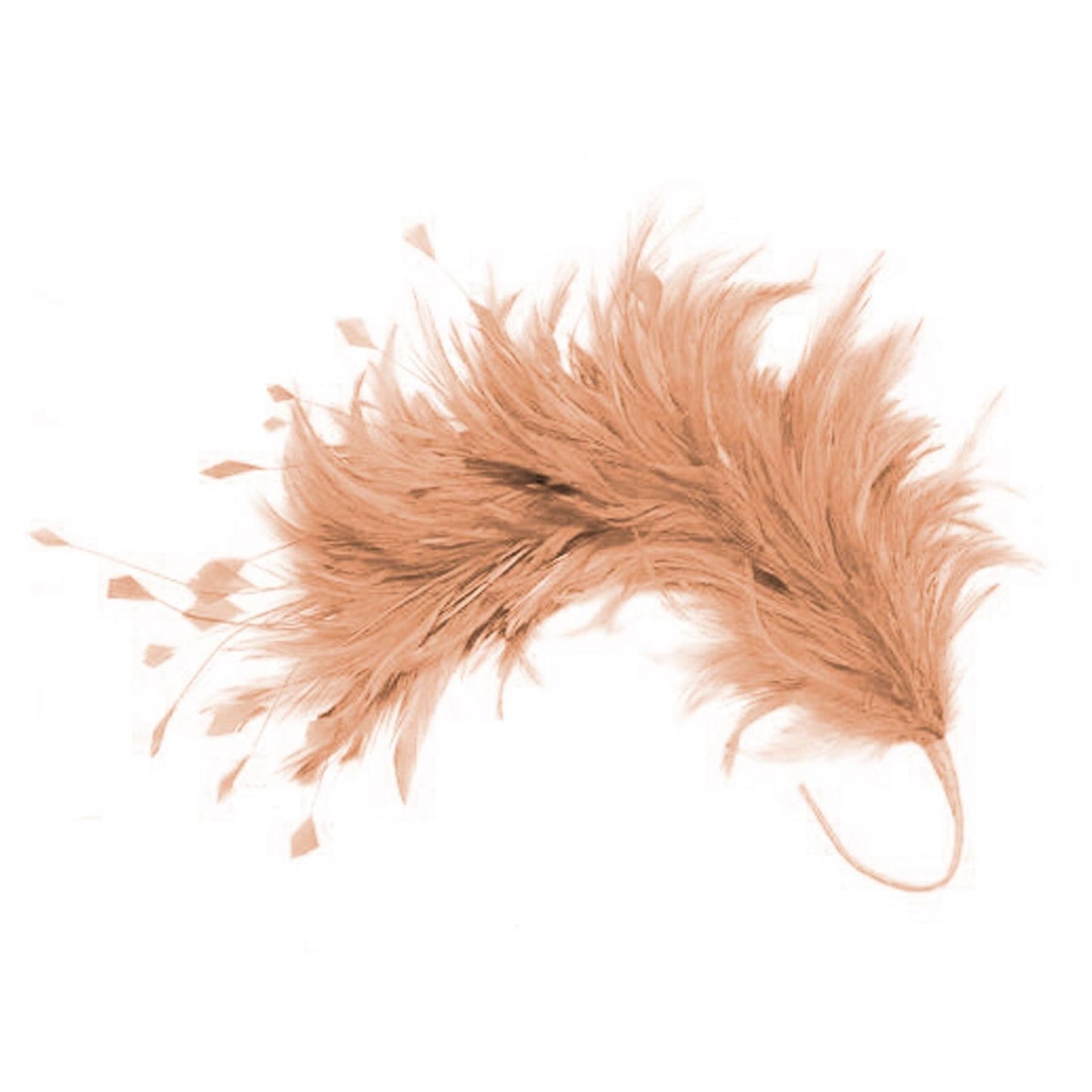 Hackle Feather Stripped Coq Mount 30cm - FM080