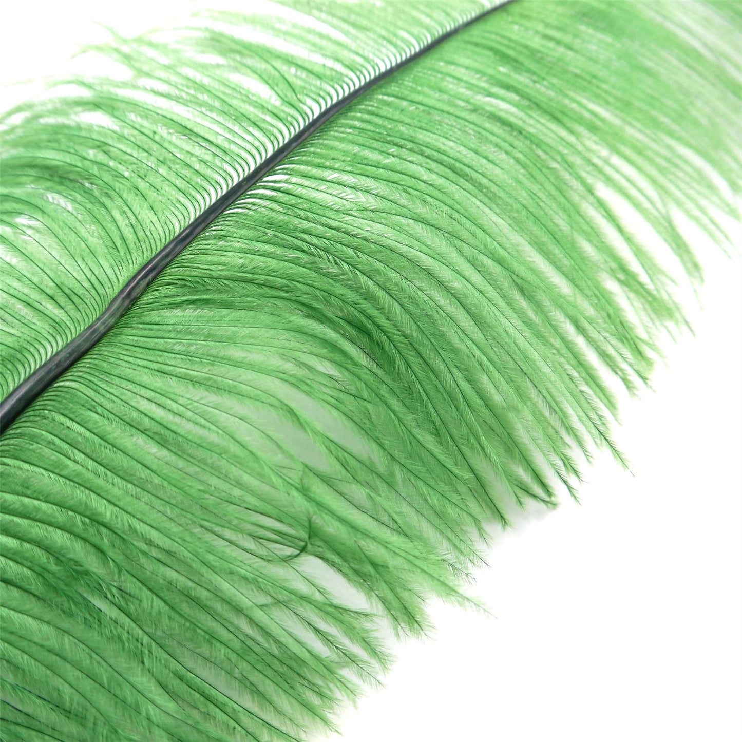 Ostrich Feather Plume 45 to 55cm FE017