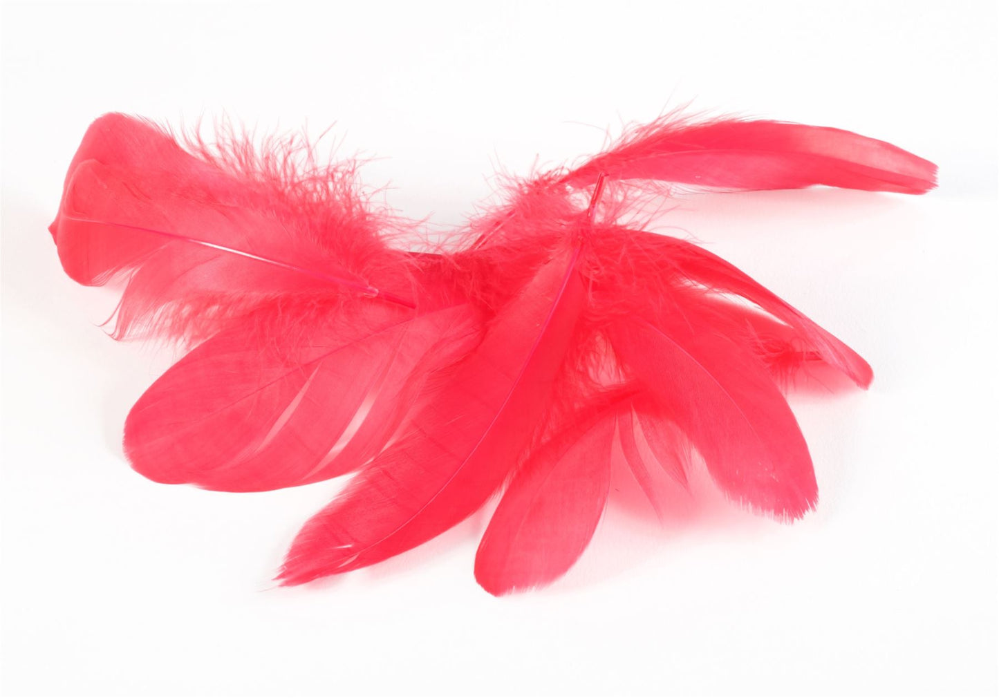 Goose Feathers x 20pcs FE009