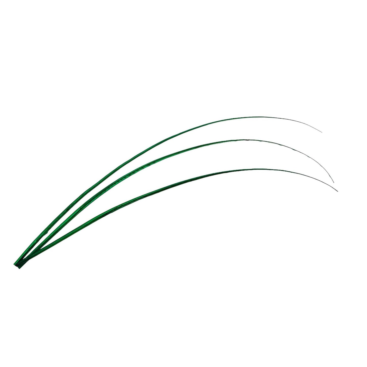 Ostrich Feather Spines 60cm x 3pcs - FE018