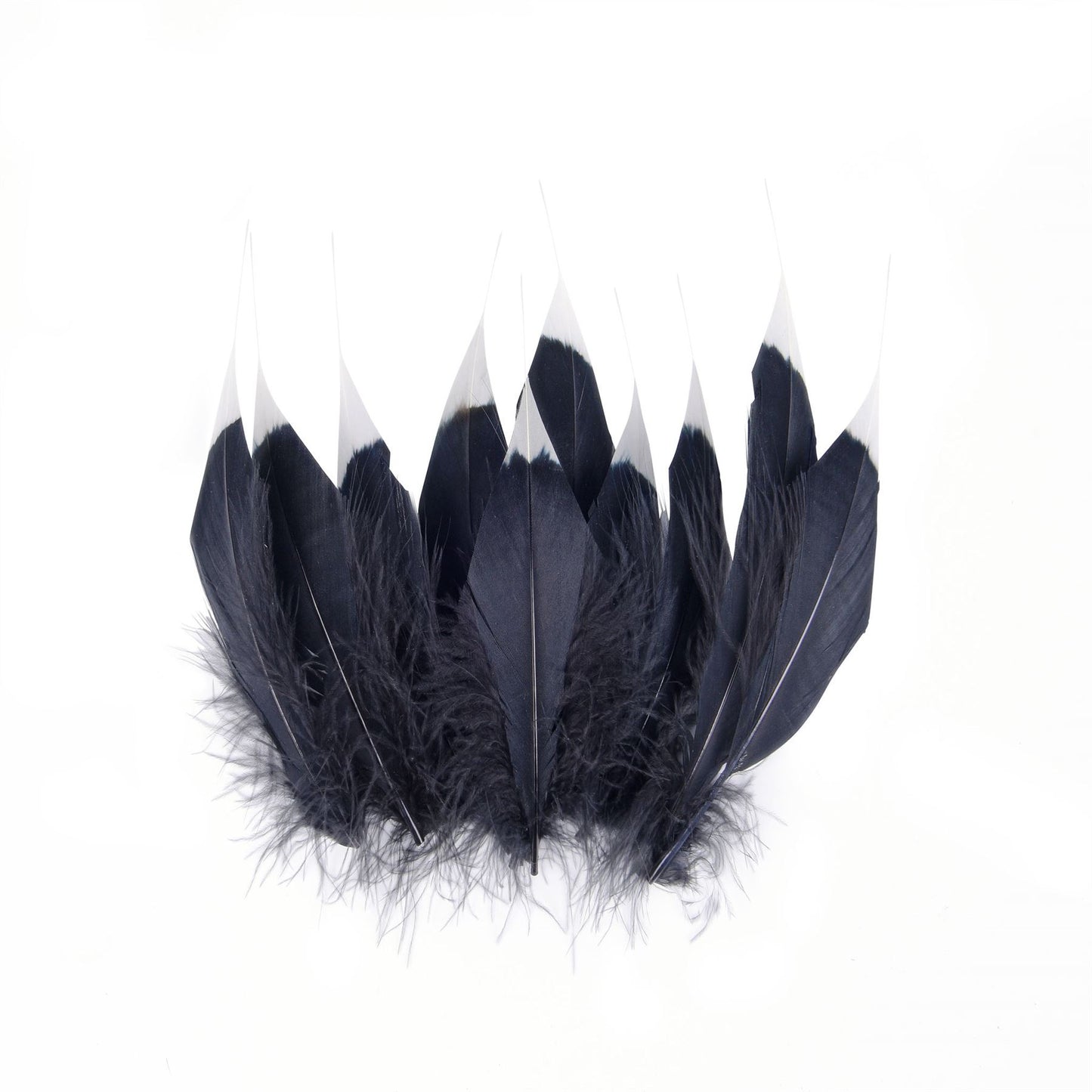 Tip Dyed Goose Feather x 10pcs FE005