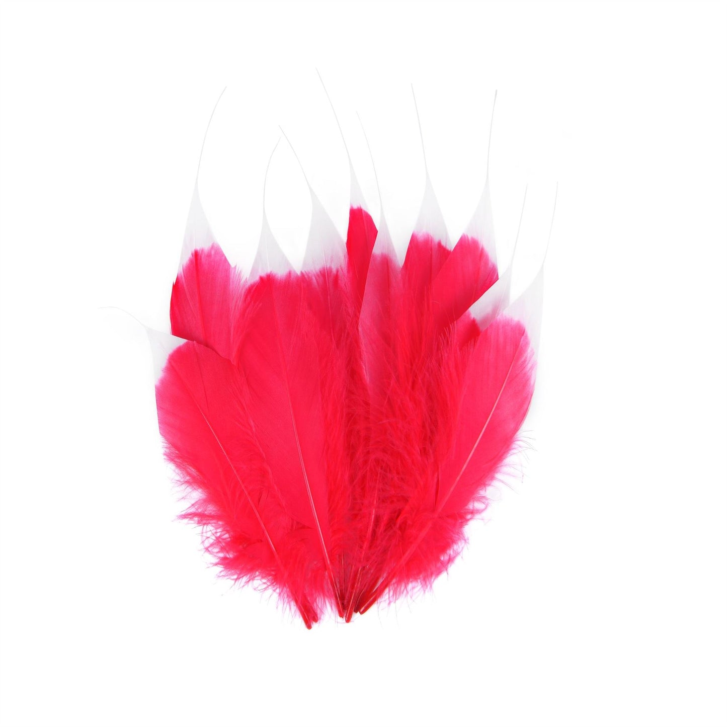 Tip Dyed Goose Feather x 10pcs FE005