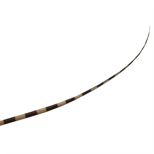 Stripe Ostrich Feather Spines 60cm - FE024