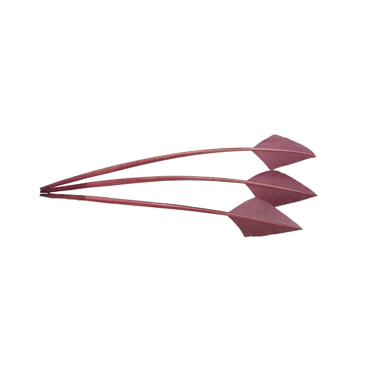 Arrow Head Turkey Feather 30cm x 3pcs - FE014
