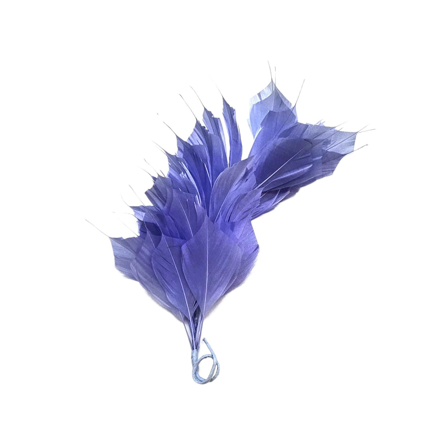 Spiky Goose Mount On Wire 25cm FM045