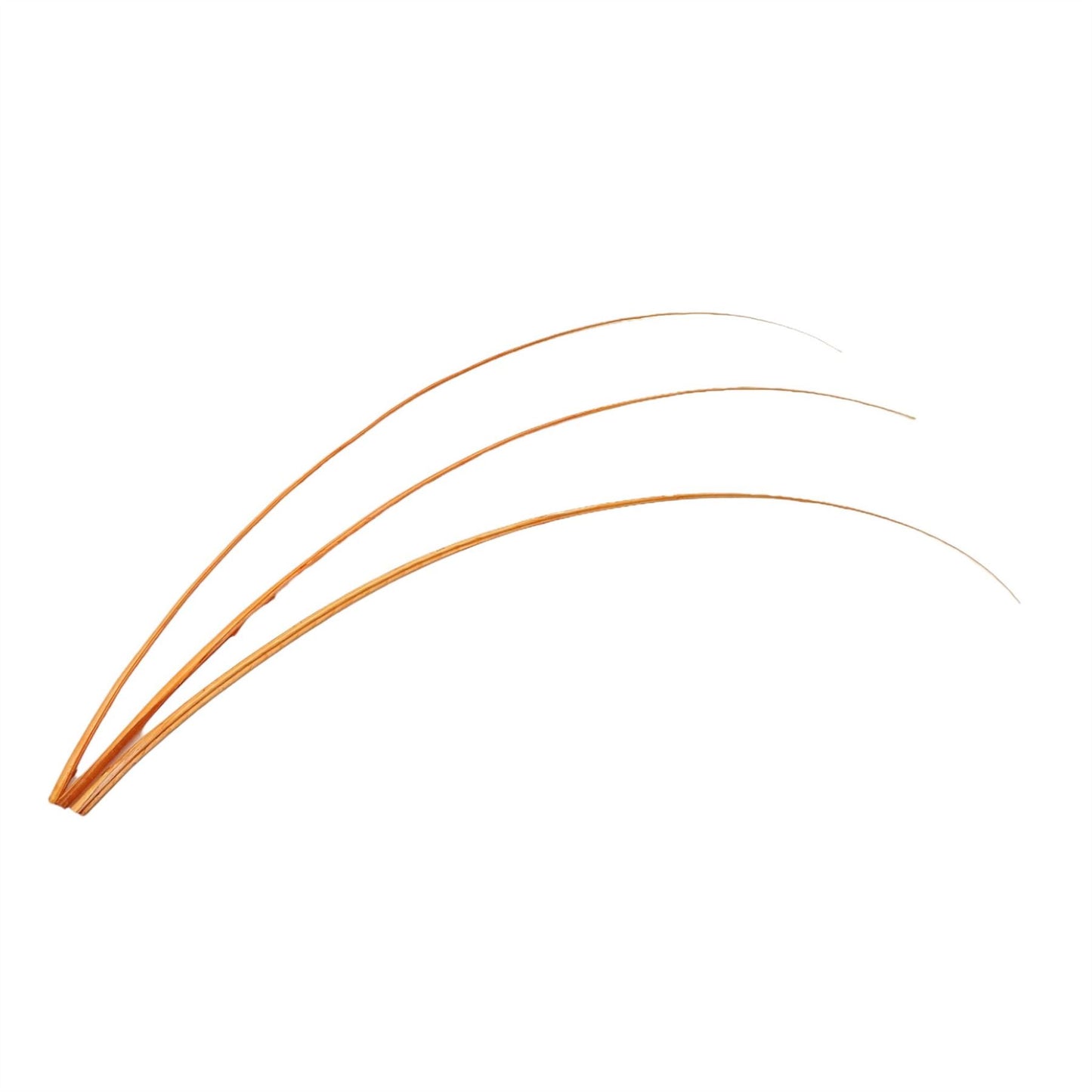 Ostrich Feather Spines 60cm x 3pcs FE018