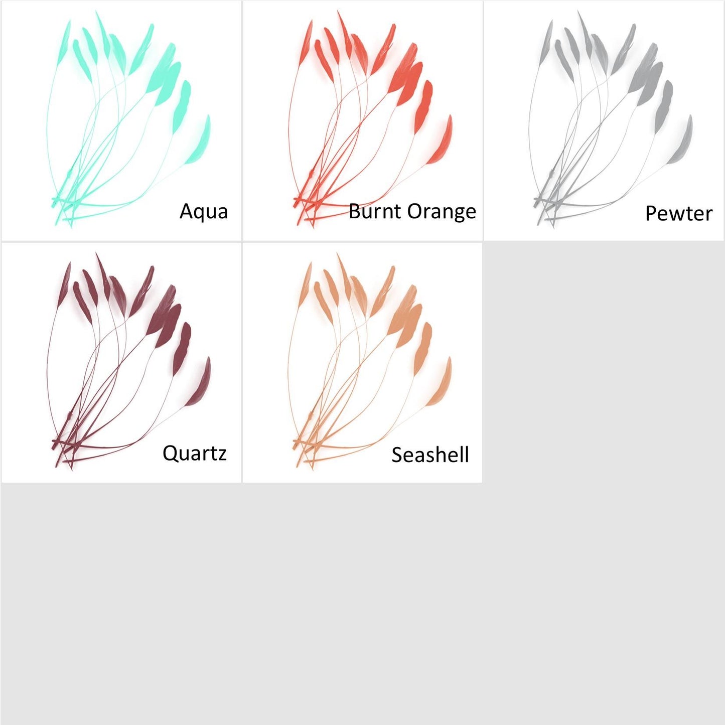 Teardrop Coq Feathers 17 to 25cm x 10pcs - CO017