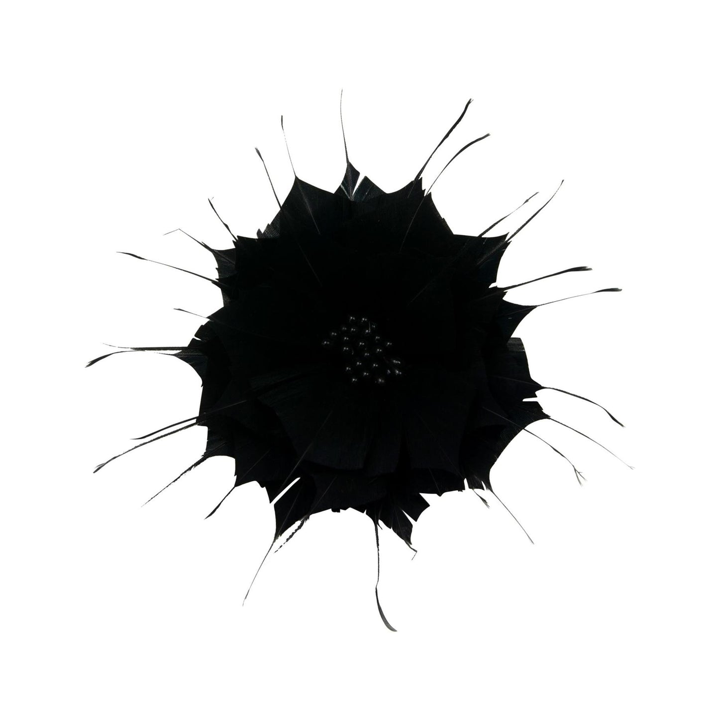 Goose Feather Star Flower 14cm - FM024