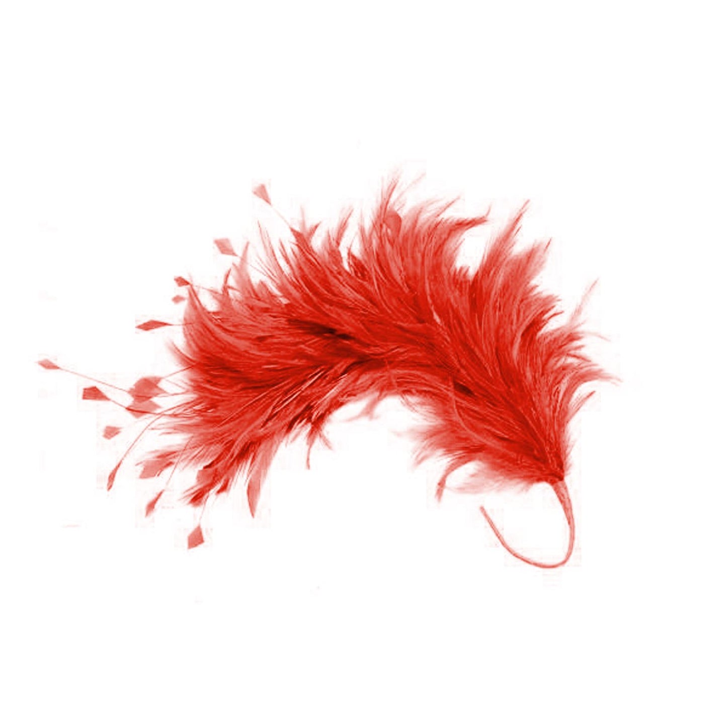Hackle Feather Stripped Coq Mount 30cm - FM080