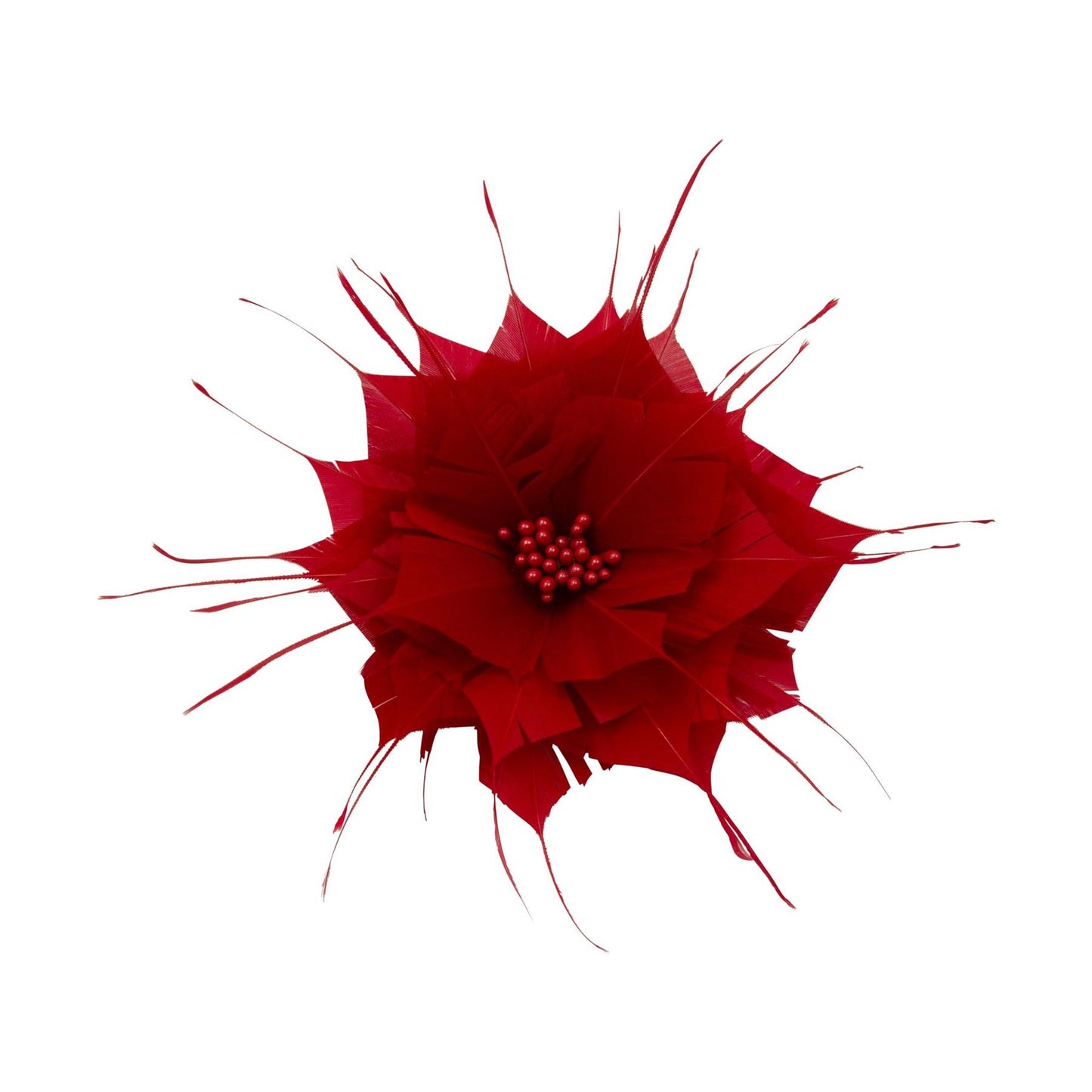 Goose Feather Star Flower 14cm FM024