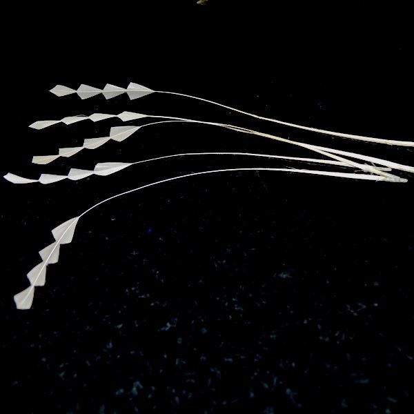 Zig Zag Coq Feathers 20cm x 5pcs - CO003
