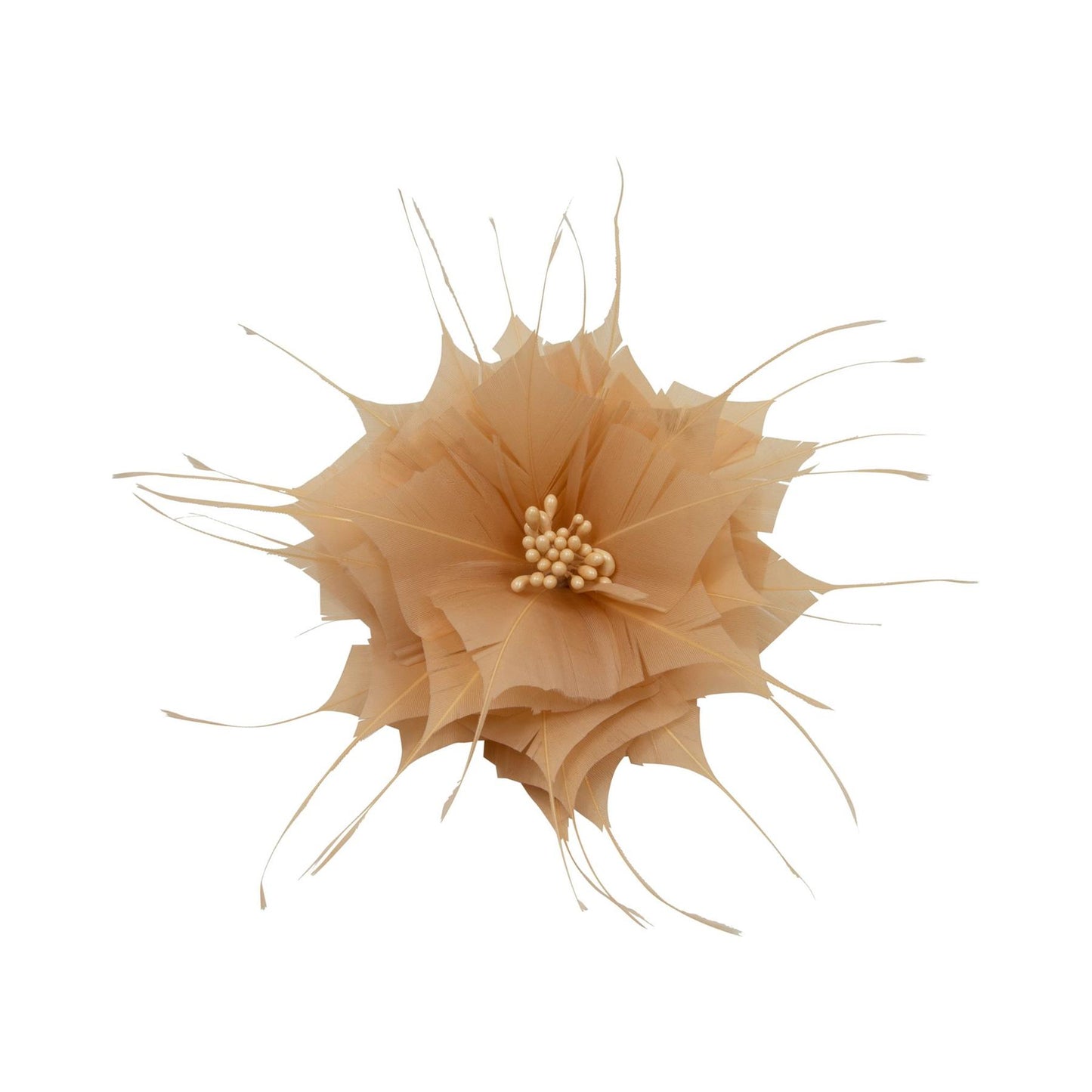 Goose Feather Star Flower 14cm - FM024
