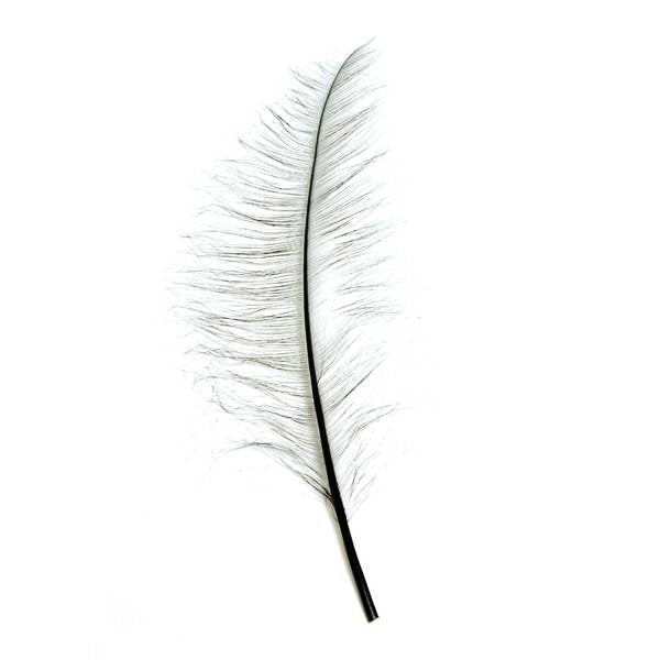 Burnt Ostrich Feather Plume 60cm - FE003