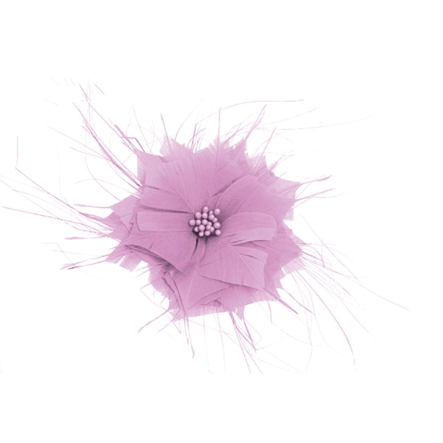 Goose Feather Star Flower 14cm - FM024