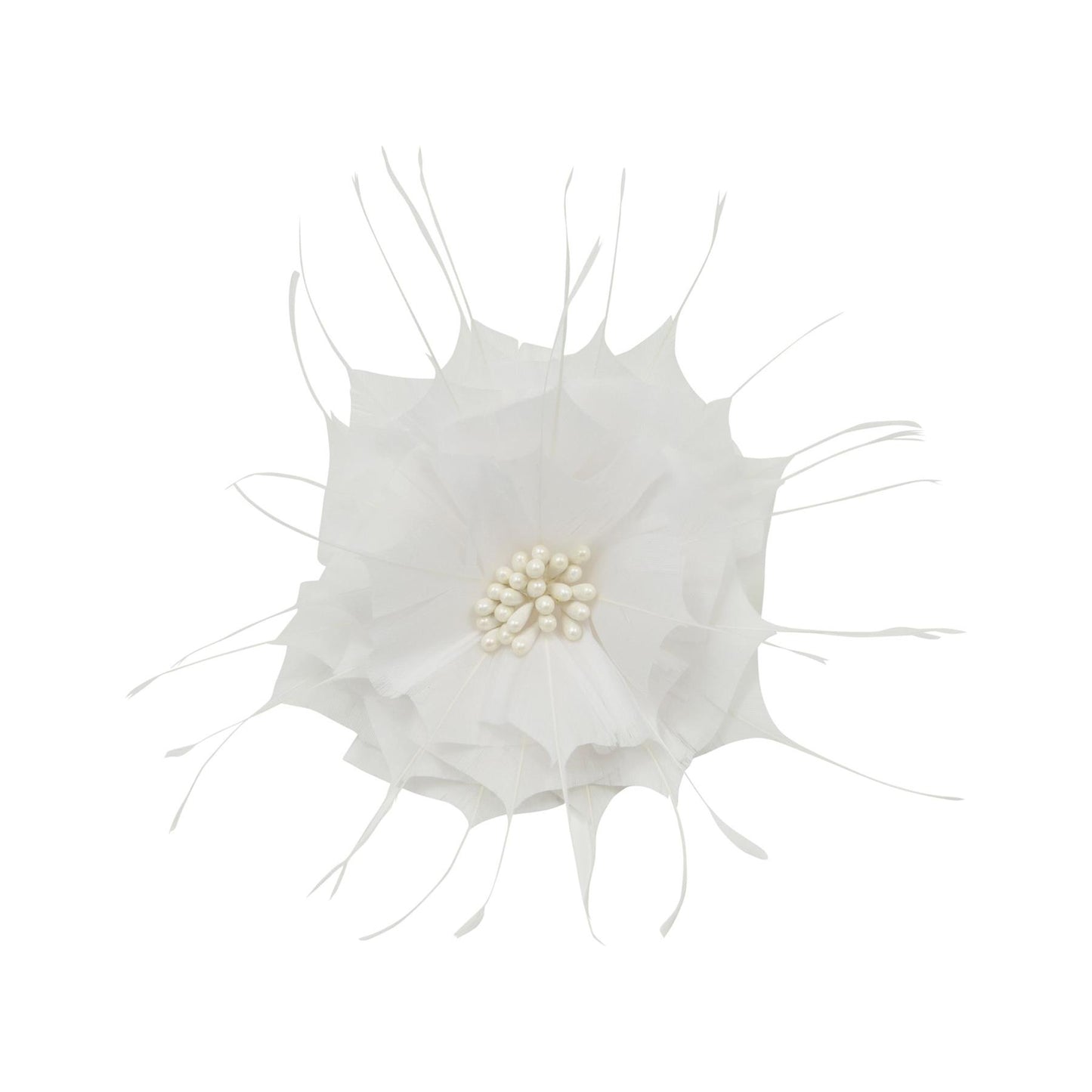 Goose Feather Star Flower 14cm - FM024