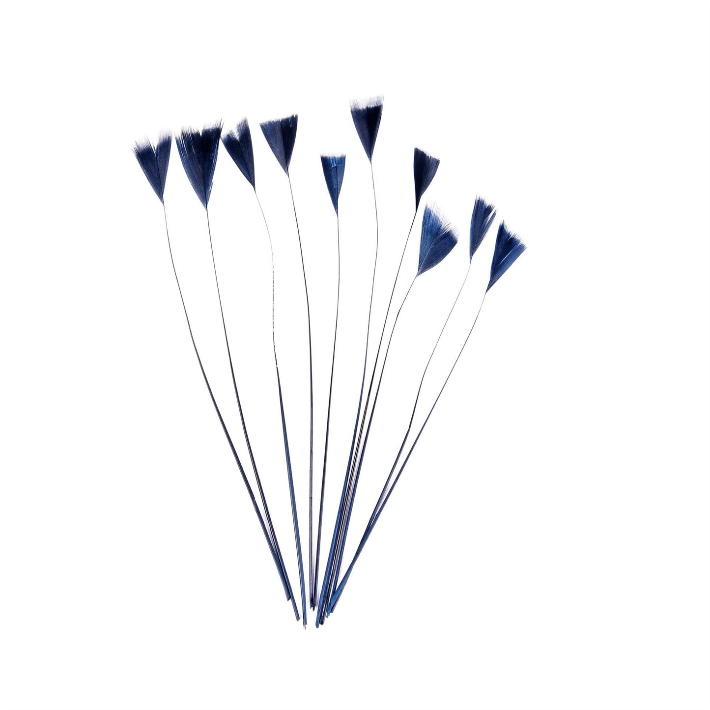 Stripped Turkey Feathers x 10pcs - FE004