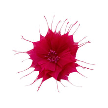 Load image into Gallery viewer, Goose Feather Star Flower 14cm FM024