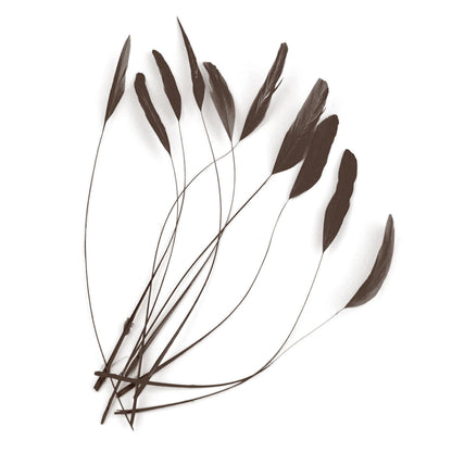 Teardrop Coq Feathers 17 to 25cm x 10pcs - CO017