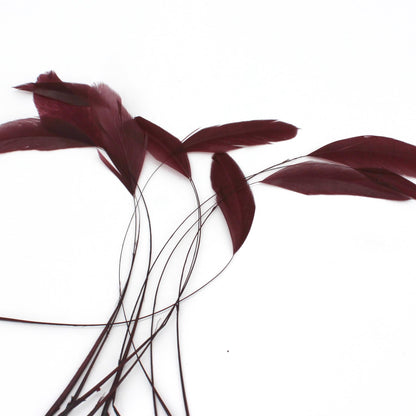 Teardrop Coq Feathers 17 to 25cm x 10pcs - CO017