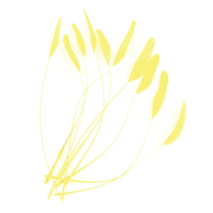 Teardrop Coq Feathers 17 to 25cm x 10pcs - CO017