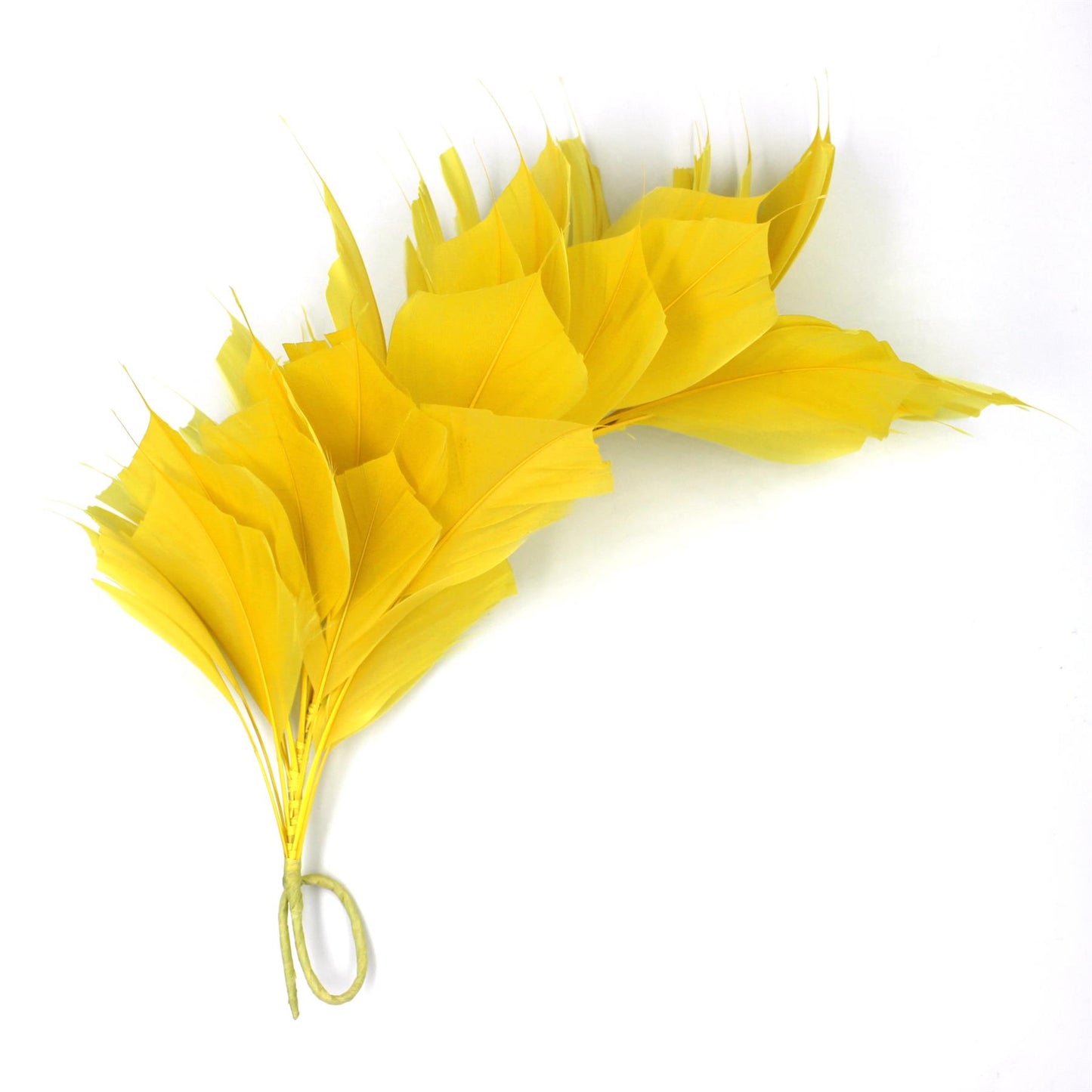 Spiky Goose Mount on Wire 25cm - FM045