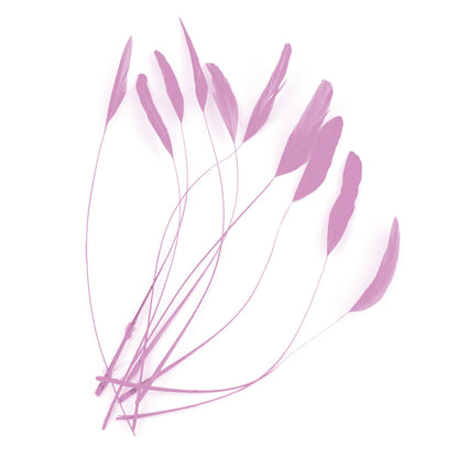 Teardrop Coq Feathers 17 to 25cm x 10pcs - CO017