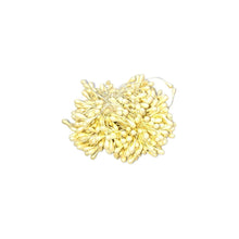 Load image into Gallery viewer, Flower Stamen Double Heads x 200pcs FM101