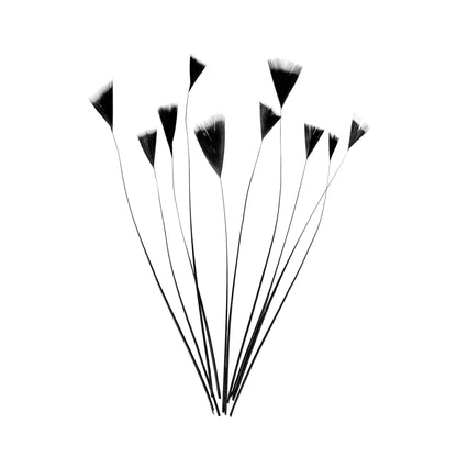 Stripped Turkey Feathers x 10pcs - FE004