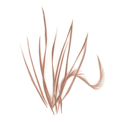 Spiky Goose Biot Feathers 14cm x 10pcs - FR913