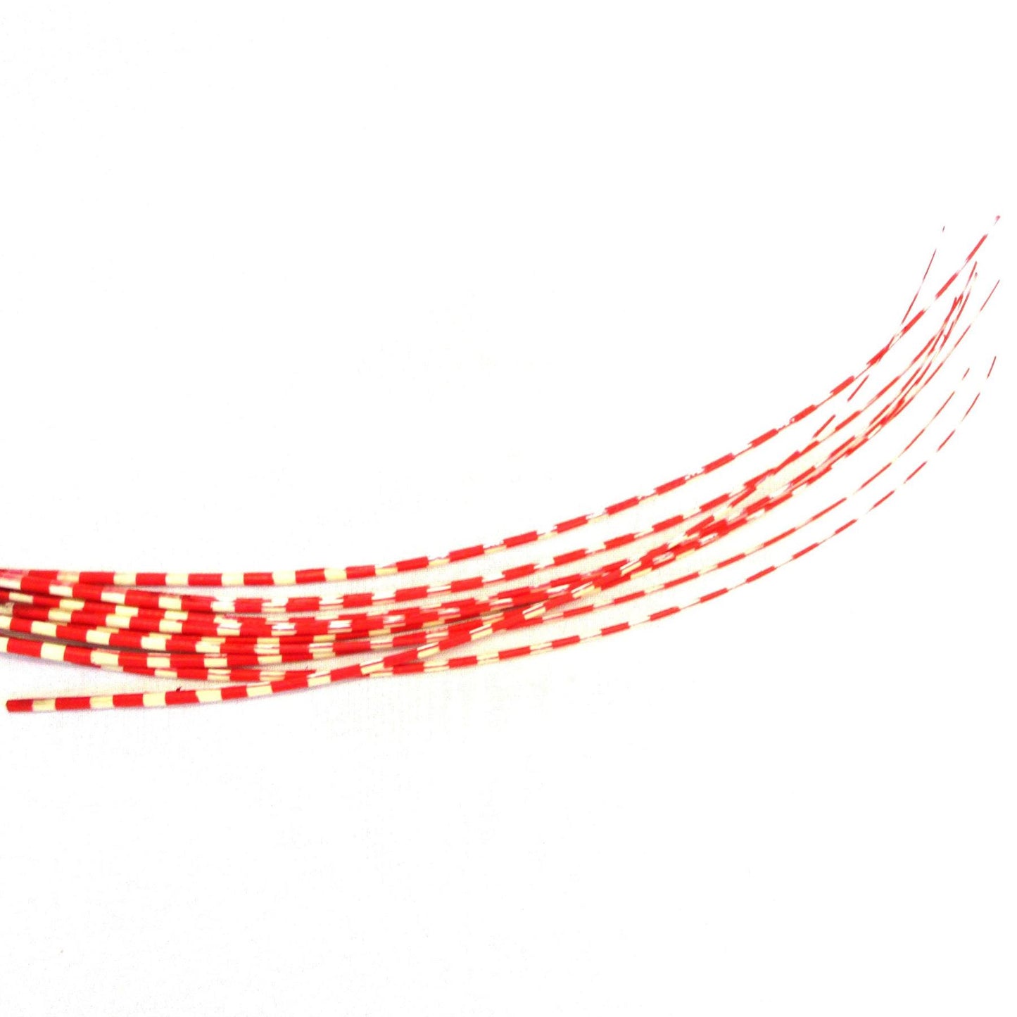 Stripe Ostrich Feather Spines 60cm - FE024