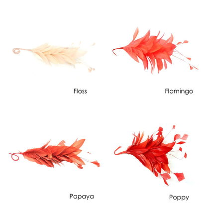 Goose Feather Stripped Coq Mount 22cm - FM082