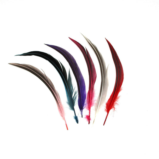 Two Tone Pheasant Feather x 10pcs FE010