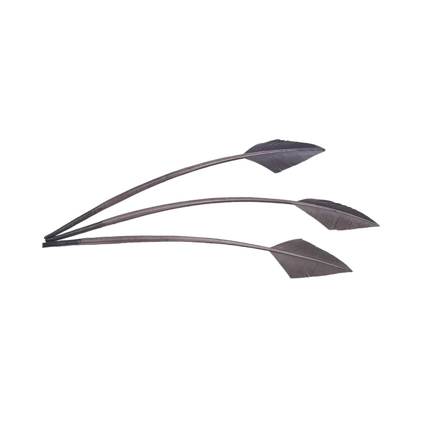 Arrow Head Turkey Feather 30cm x 3pcs - FE014