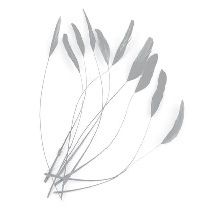 Teardrop Coq Feathers 17 to 25cm x 10pcs - CO017