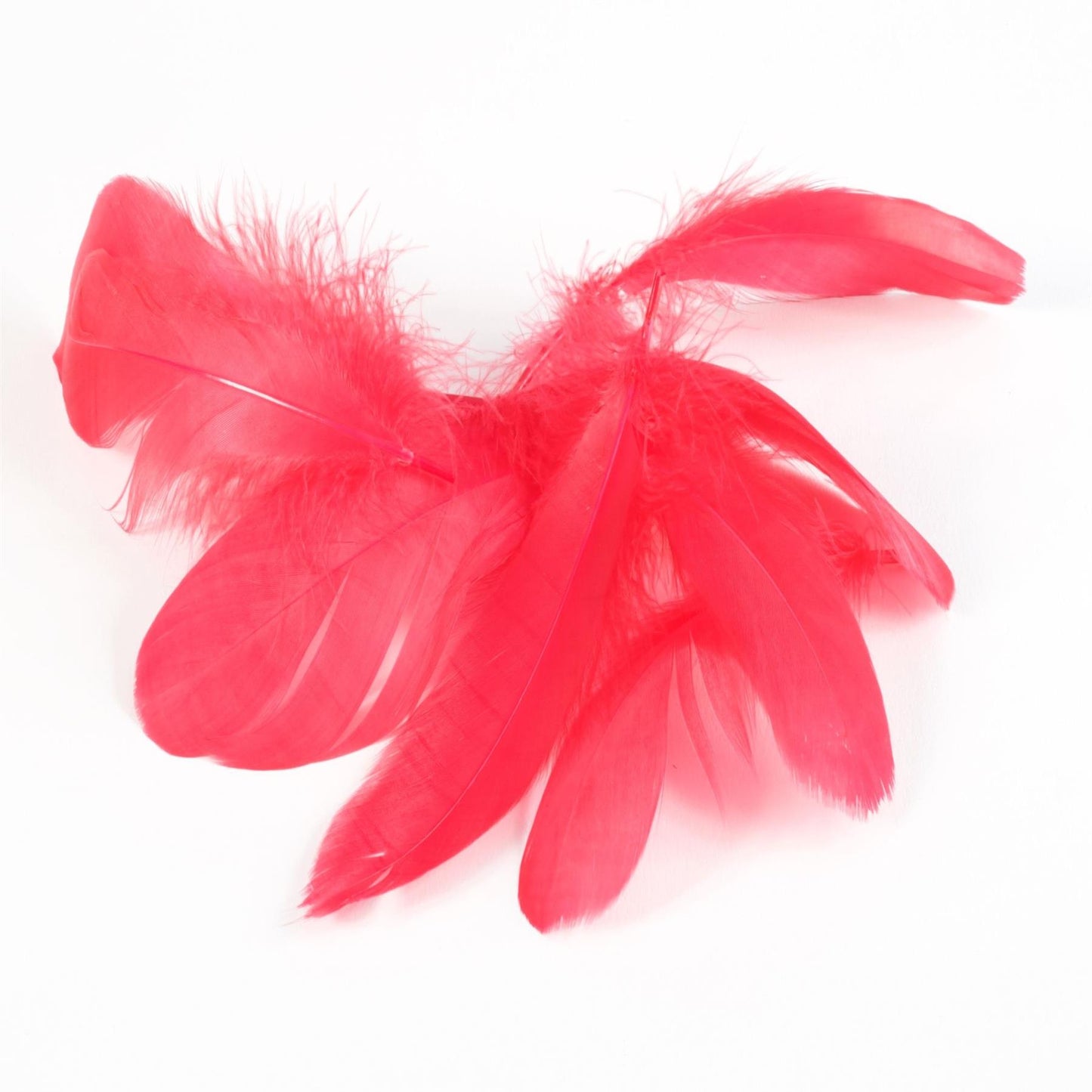 Goose Feathers x 20pcs - FE009