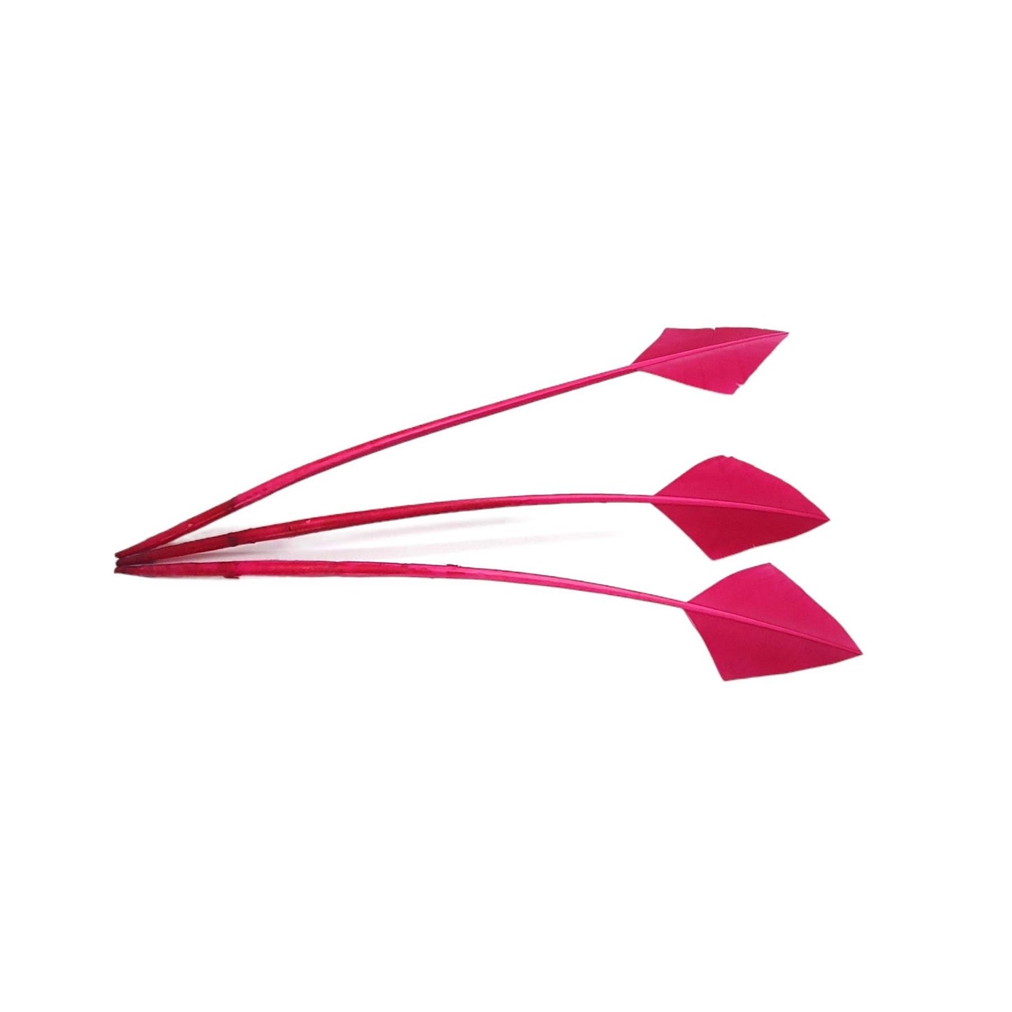 Arrow Head Turkey Feather 30cm x 3pcs - FE014