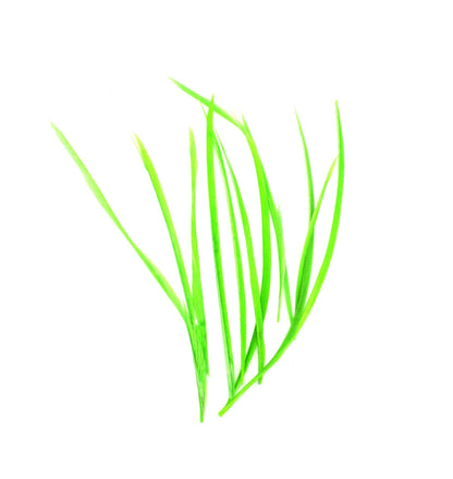 Spiky Goose Biot Feathers 14cm x 10pcs - FR913