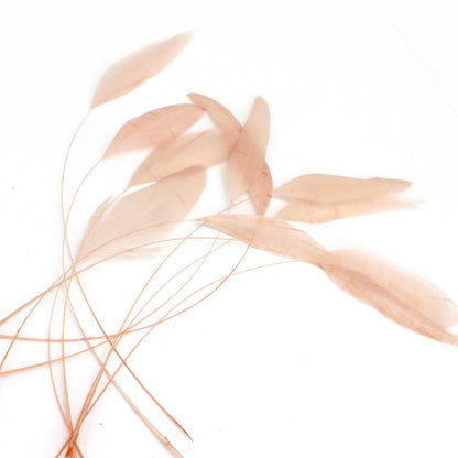 Teardrop Coq Feathers 17 to 25cm x 10pcs - CO017