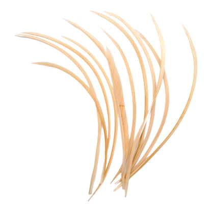 Spiky Goose Biot Feathers 14cm x 10pcs - FR913