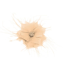 Load image into Gallery viewer, Goose Feather Star Flower 14cm FM024