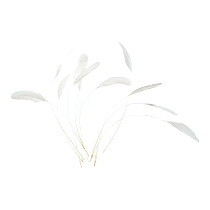 Teardrop Coq Feathers 17 to 25cm x 10pcs - CO017