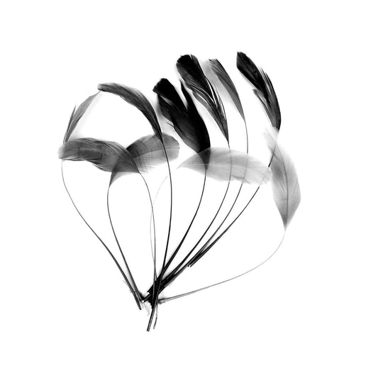 Teardrop Coq Feathers 15cm x 10pcs - CO901