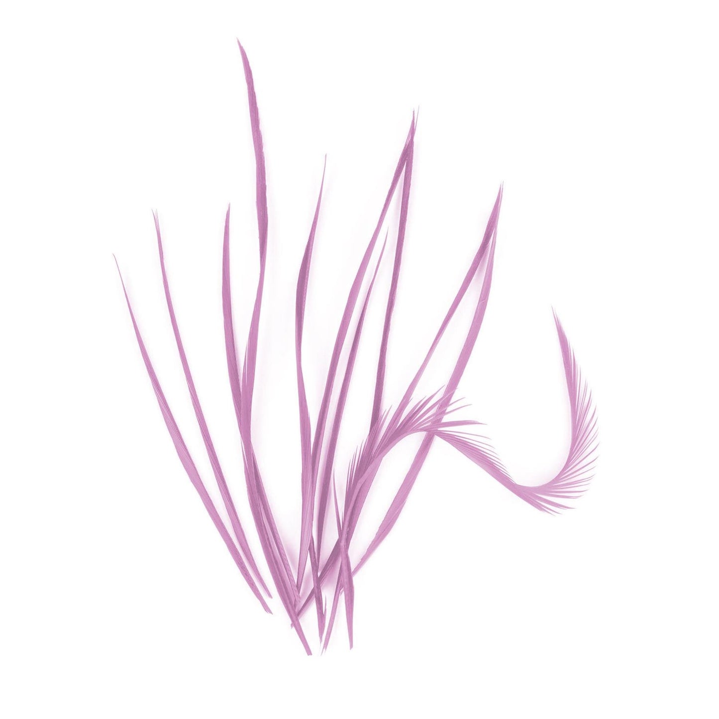 Spiky Goose Biot Feathers 14cm x 10pcs - FR913