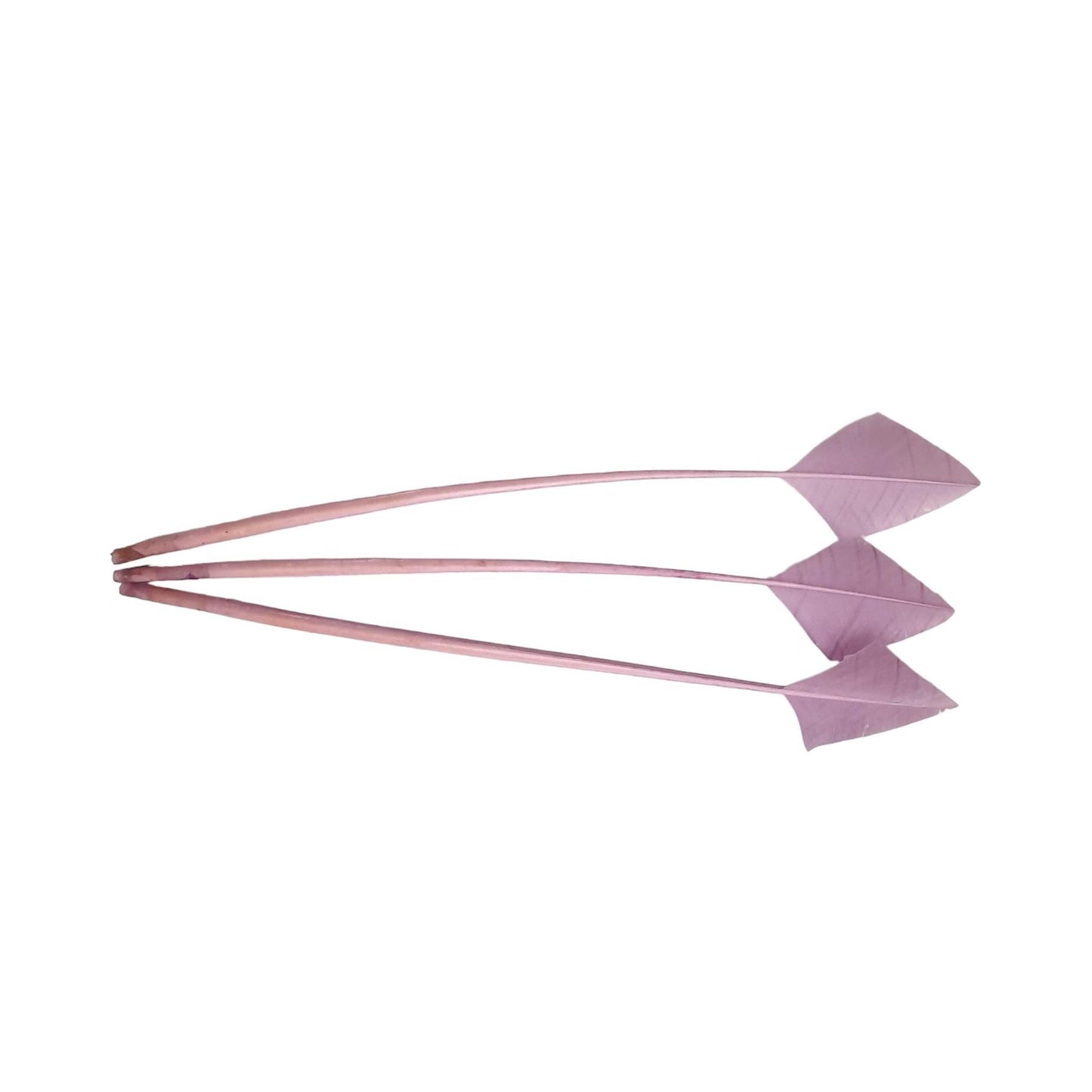 Arrow Head Turkey Feather 30cm x 3pcs - FE014