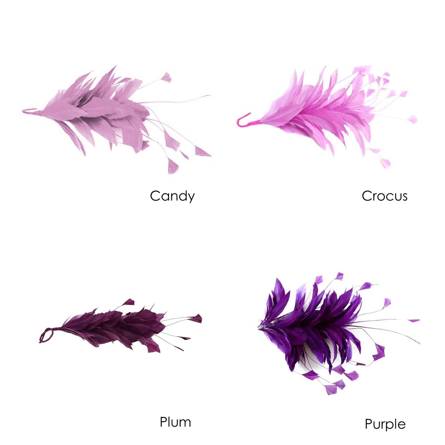 Goose Feather Stripped Coq Mount 22cm - FM082