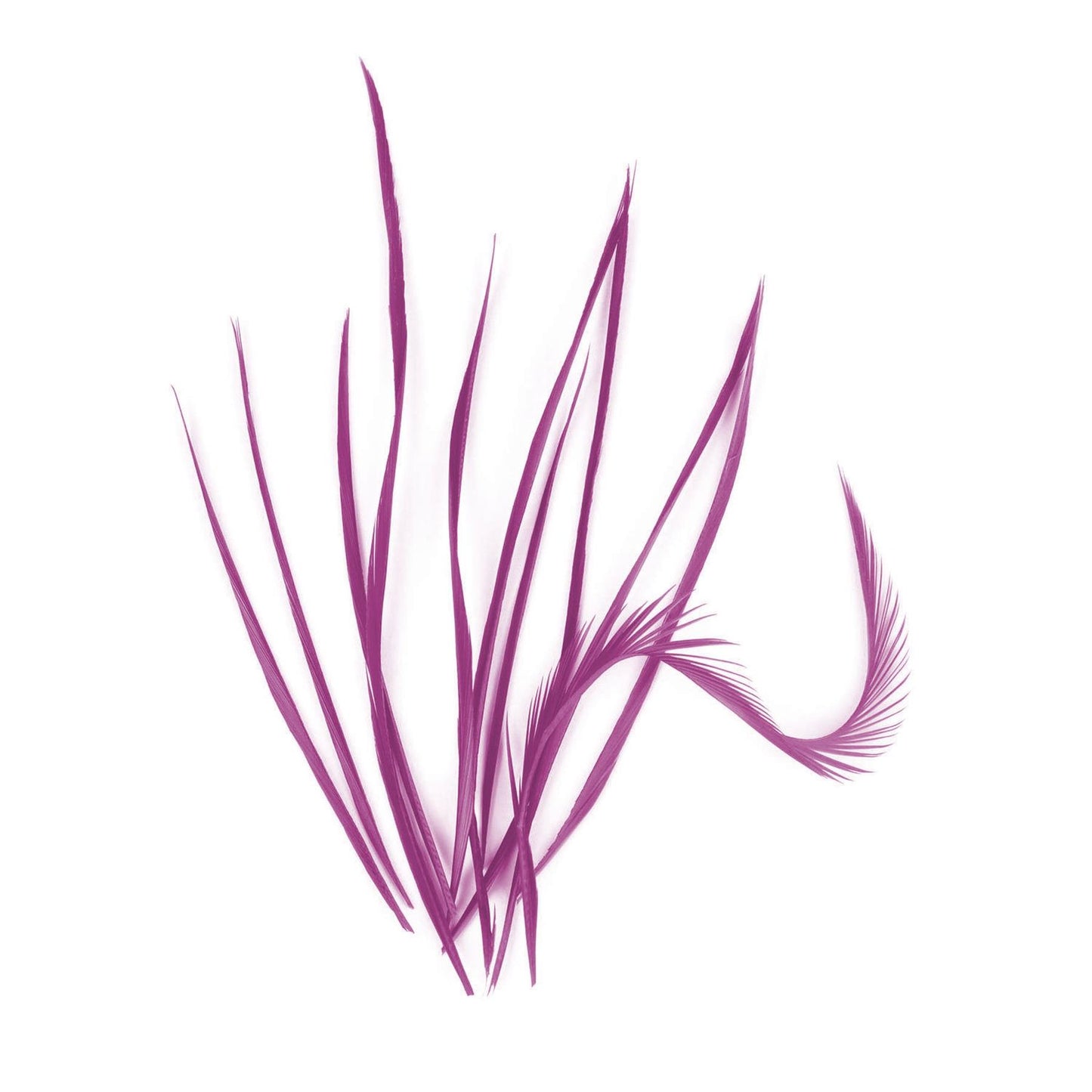 Spiky Goose Biot Feathers 14cm x 10pcs - FR913